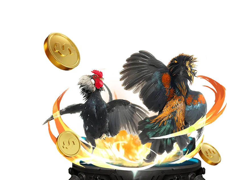 Ưu đãi VIP twin68